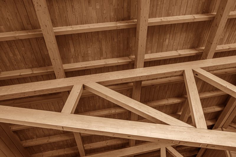 TJs Floor Joist Repair