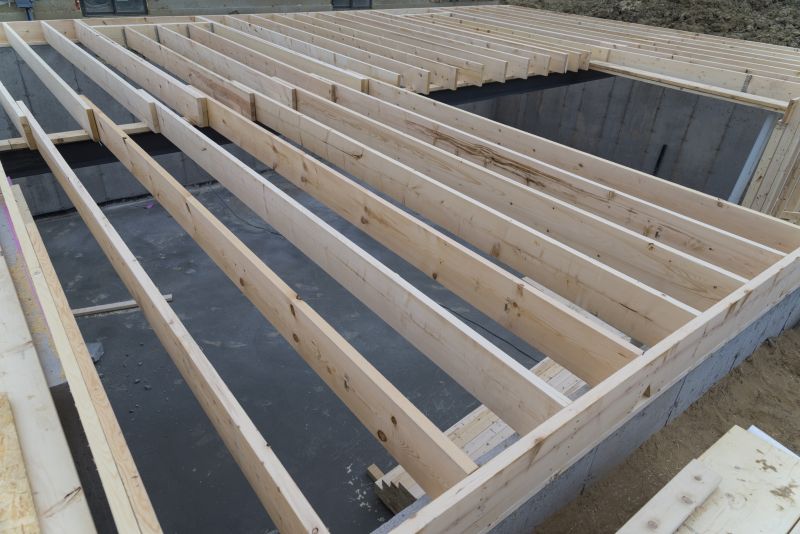 Inspecting Floor Joists